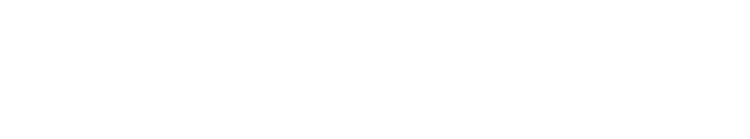 Logo Esden Horizontal W 1.webp