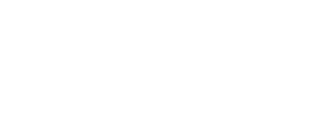 Logo FSO Ranking