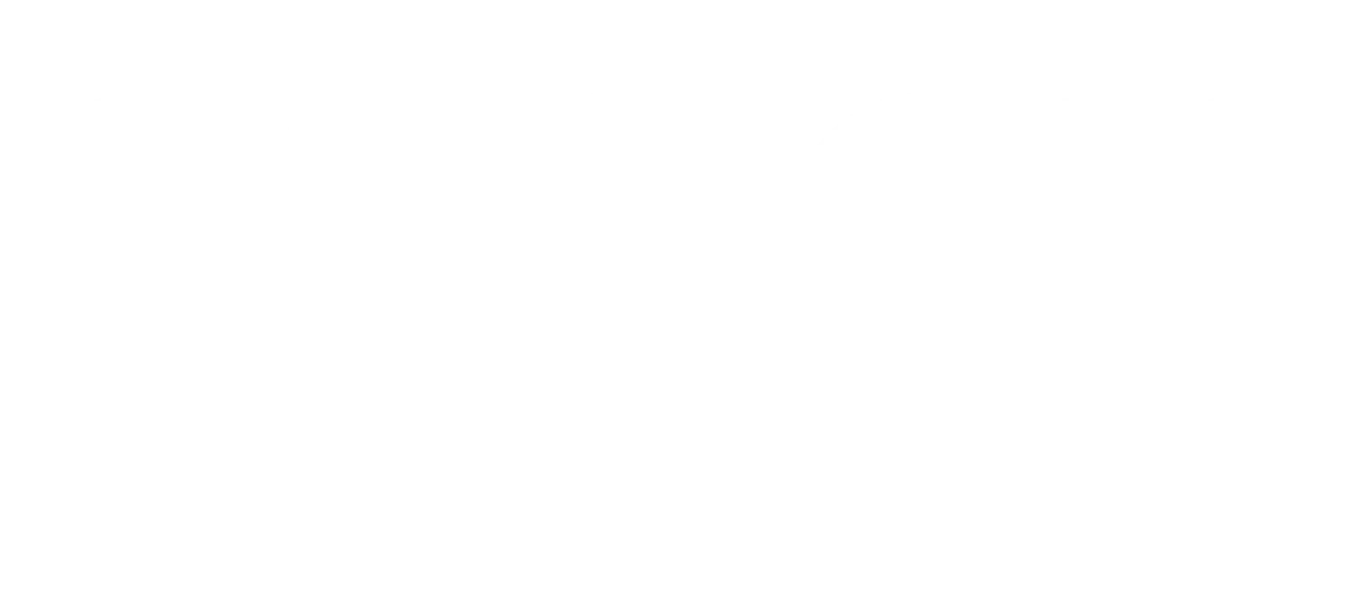 Esden Logo White